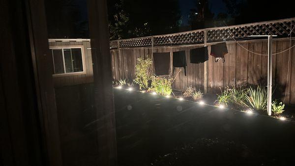 lights installation + backyard turf remodel
