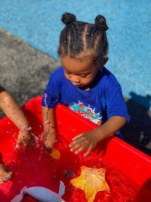 Ellie's Academy of Monroe