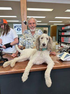 The Paint Bucket - Sandpoint