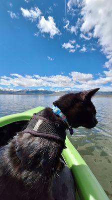 Bridgeport Reservoir RV Park and Marina