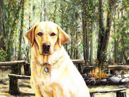 Portraits By Pam