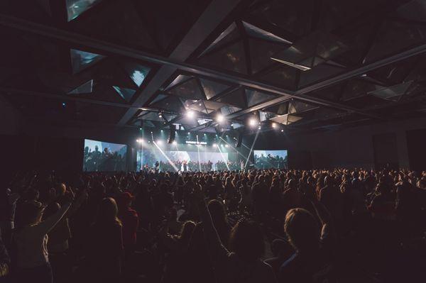 The Dog Stop - Cumming-Midway