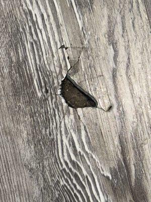 Super 8 By Wyndham Chandler Phoenix