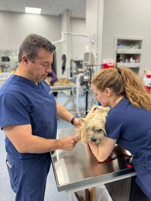 Community Animal Hospital