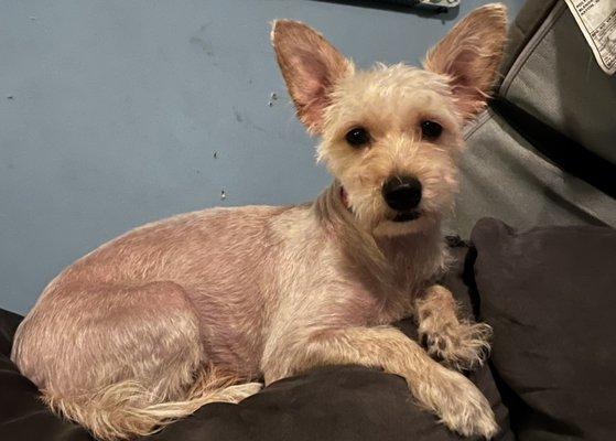 Pet Paradise Supermarket