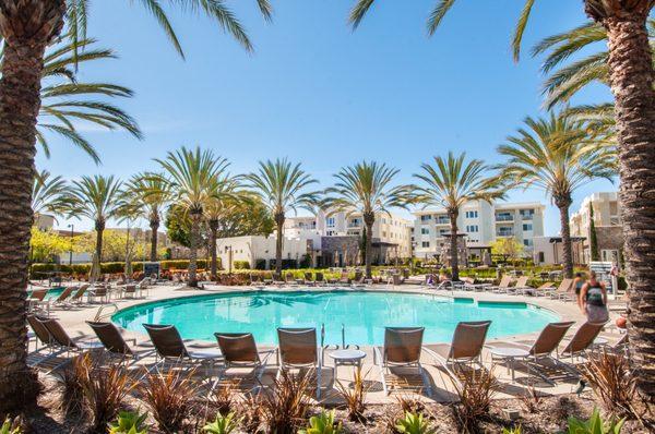 Resort amenities at ThreeSixty at South Bay