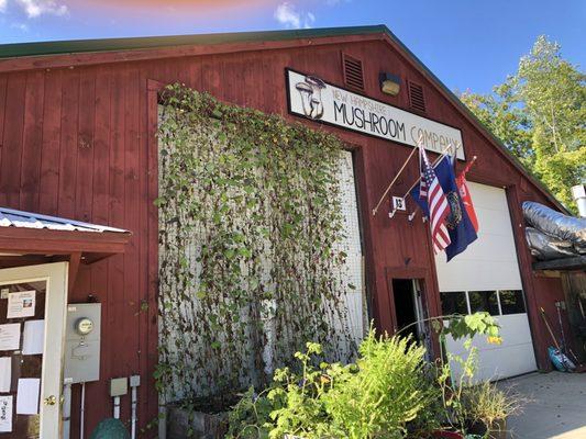 New Hampshire Mushroom Company