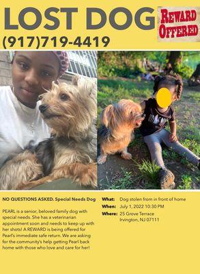 Union County S P C A