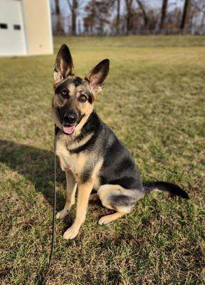 Here Hannah In Home Personalized Pet Care