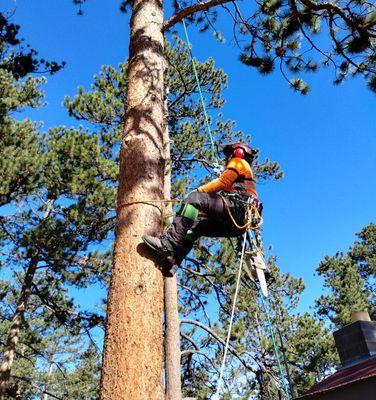 Beyond Services Group