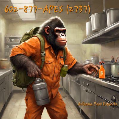 Arizona Pest Experts