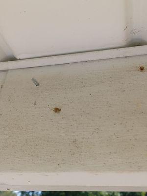 Above Par Construction