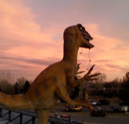 Dino the dino who sits on are car wash is named,'Chewy"