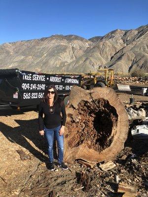 Tip Top Shamrock Arborist