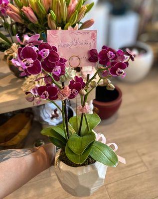 Happy Orchid order