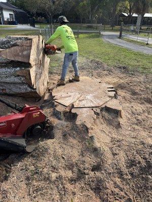 Mike Herronen Tree Service