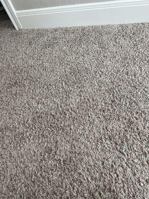 Terry’s Cleaning Services