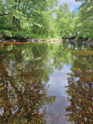 The water was shallow but very refreshing