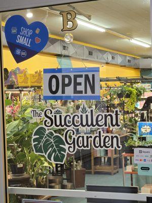 The Succulent Garden