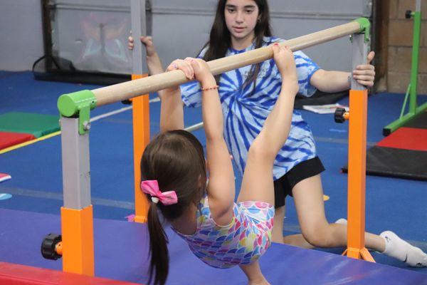 Flipper's Gymnastics