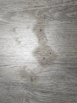 Country Camping Corner