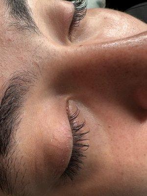 Holistic Skin and Lash