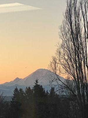 Swedish Spine, Sports & Musculoskeletal Medicine - Cherry Hill