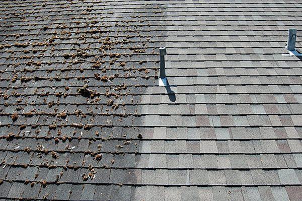 Angelo’s Exterior Cleaning