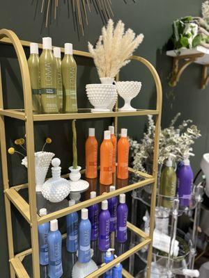 Daisy Mountain Painting Services