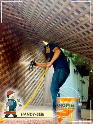 Handy Sebi