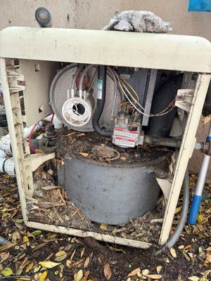 Giuliano's Pool Service & Repair