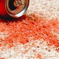 Stain Removal Miami By Dr Steemer http://www.drsteemer.com/carpet-cleaning/