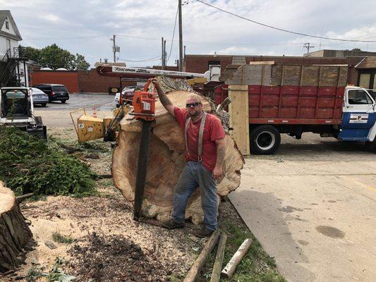 Kobbeman Tree Service