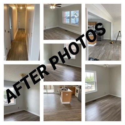 Accurate Bullie Consruction