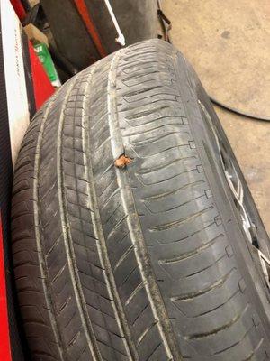 Lifestyle Automotive