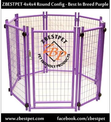4x4x4 Best In Breed Purple Round Configuration - Legal for AKC Events