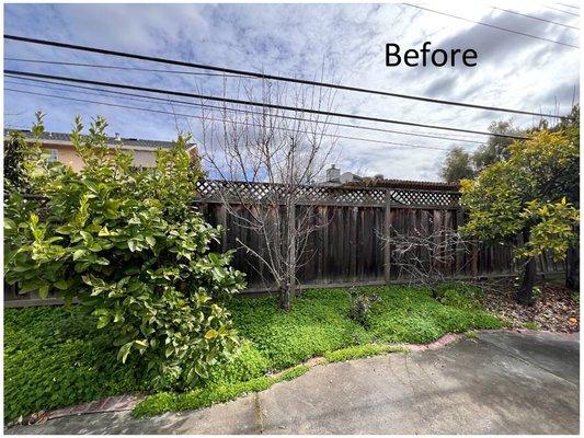 Quetzal Landscaping and Maintenance Service