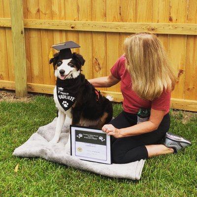 Positive Bully Breed Training