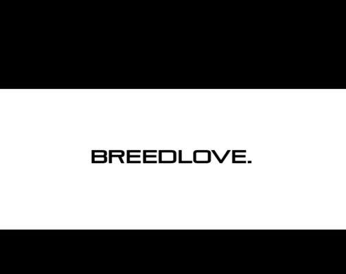Breedlove