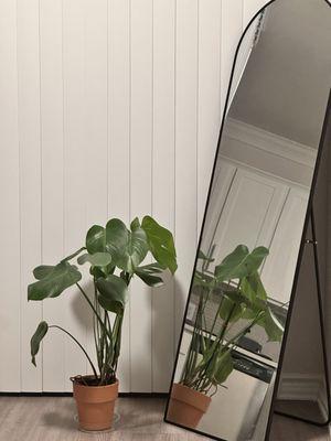 Lakeline Florist & Gifts