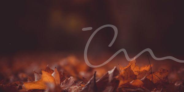 The Creative Momentum