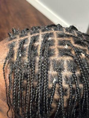 Your braids by Nesh