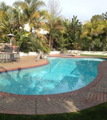 Always Sparkling Pool & Spa Inspections