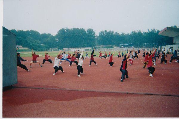 Fair Oaks Taiji and Meihuazhuang