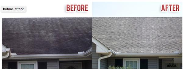 Nutmeg Roof Cleaning