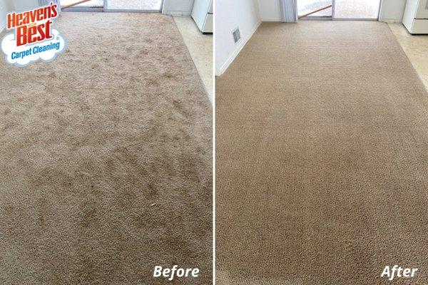 Heaven's Best Carpet Cleaning Anchorage