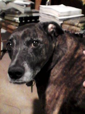 Orange Historical Marker