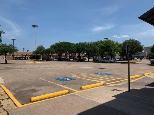 Body & Brain - Belt Line