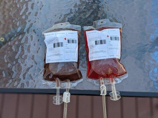 The Gingerbread House Drive thru Espresso & Tea