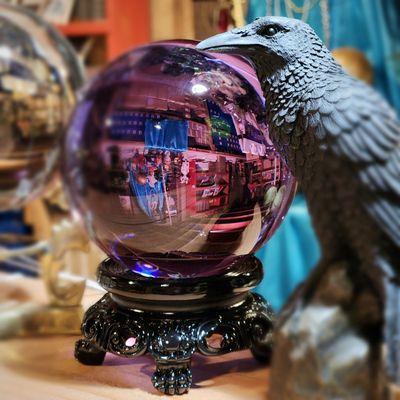 Oregon Oddity Shop. All things spooky, weird, and unique. Curiosities and Oddities For Sale.